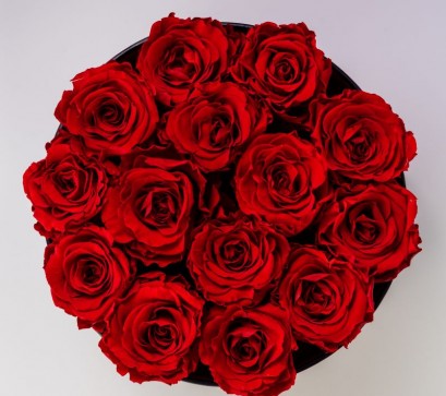 How to Celebrate Rose Day on Valentine’s Week?