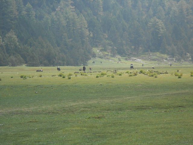dhorpatan hunting reserve