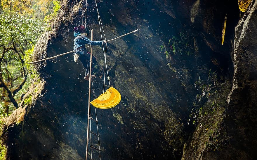 Nepal Traveller | Nepal's most visited website | A website that is ...