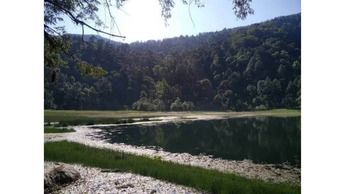 lakeside-view