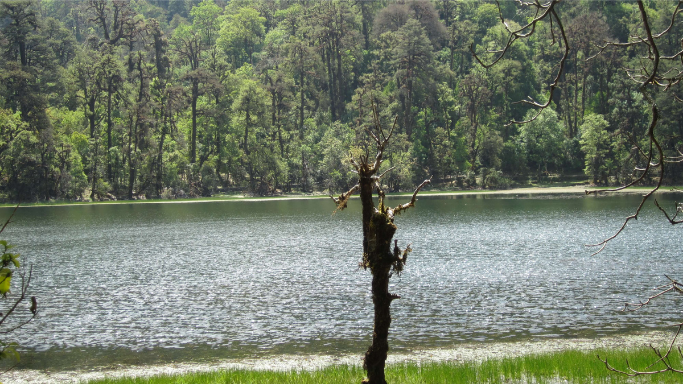 ramaroshan