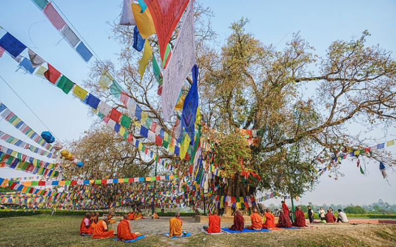 Nepal Traveller | Nepal's most visited website | A website that is ...