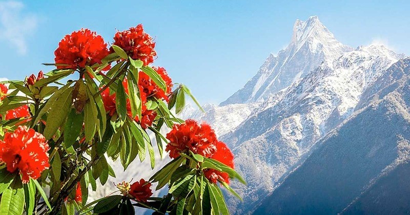Nepal Traveller | Nepal's most visited website | A website that is  dedicated to promote tourism and Destination Nepal