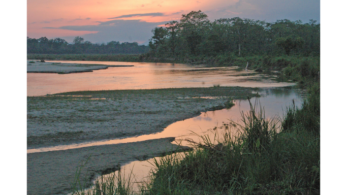 chitwan-national-park