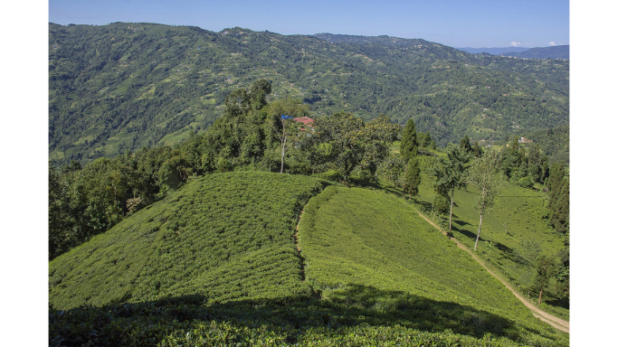 illam