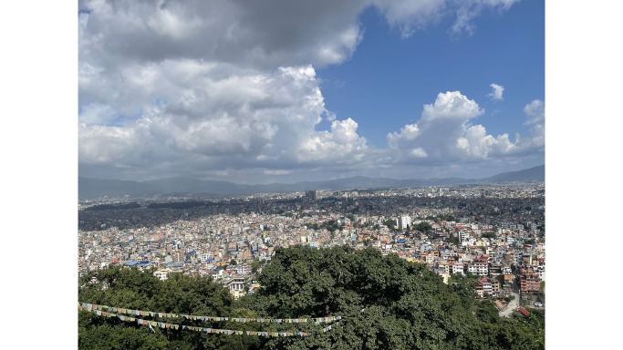 single-tree-kathmandu